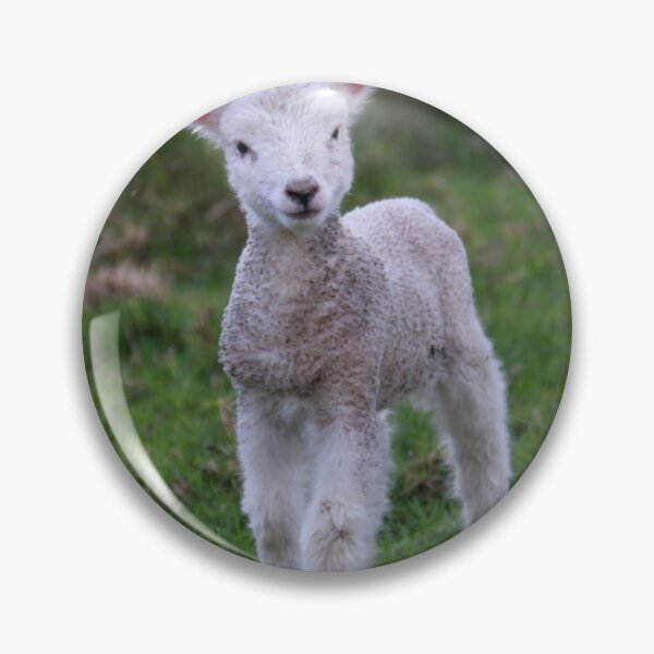 Item preview, Lamb Baby Sheep Farm Animal designed and sold by mwagie.