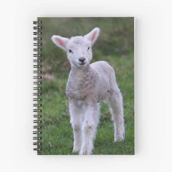 Item preview, Lamb Baby Sheep Farm Animal designed and sold by mwagie.