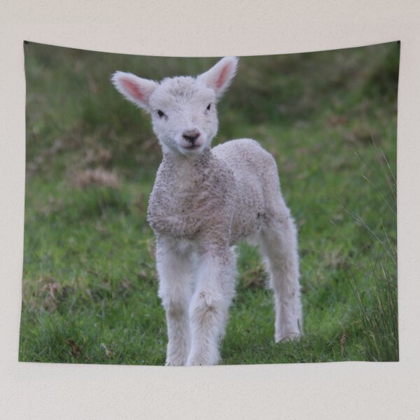 Item preview, Lamb Baby Sheep Farm Animal designed and sold by mwagie.