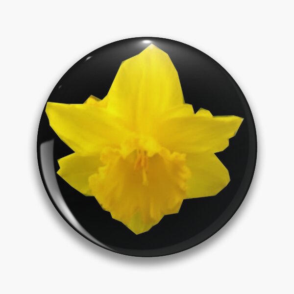 Item preview, yellow daffodil (black) designed and sold by MsTyson.