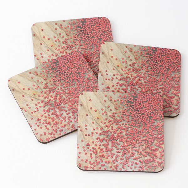 Item preview, Watercolor still life: Redcurrants designed and sold by Delphine HIBOU.