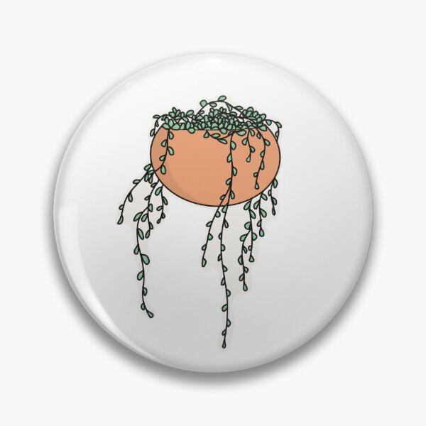 Item preview, Hanging Succulent  designed and sold by designs-by-chlo.