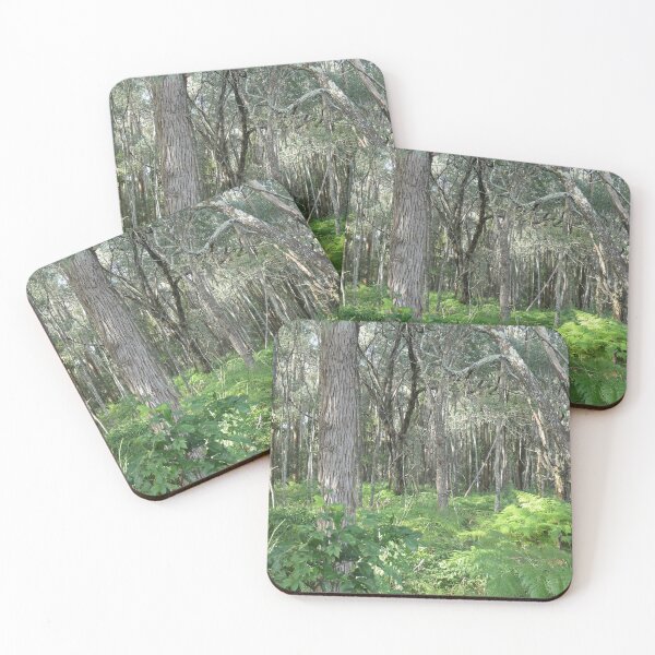 Item preview, Morning Brunswick Walk designed and sold by Diana Grunwald.