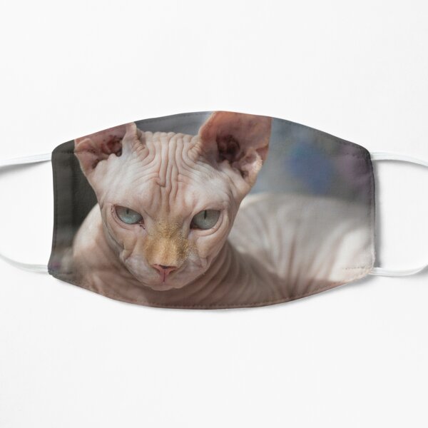 Catnap Flat Mask