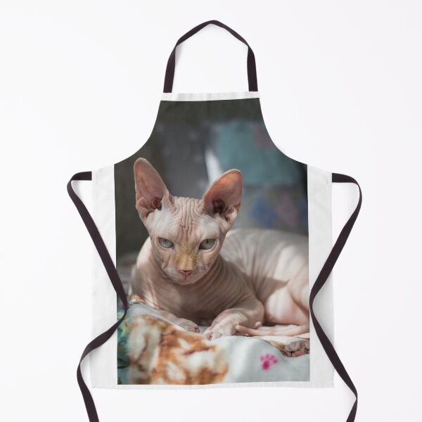 Item preview, Catnap designed and sold by Zachlogic.