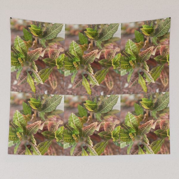 Item preview, GPN designed and sold by Coconuts20.