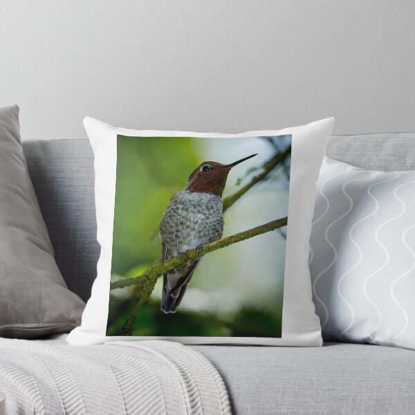 Artikelvorschau, Anna's Hummingbird  entworfen und verkauft von RandyHume.