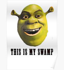This is my swamp Poster