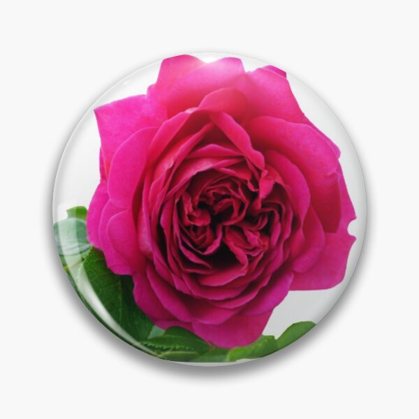 Aperçu de l'œuvre Rose rose créée et vendue par Almaram.