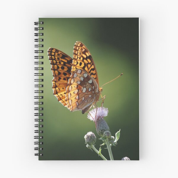 Item preview, Great Spangled Fritillary 1 designed and sold by litwphoto.