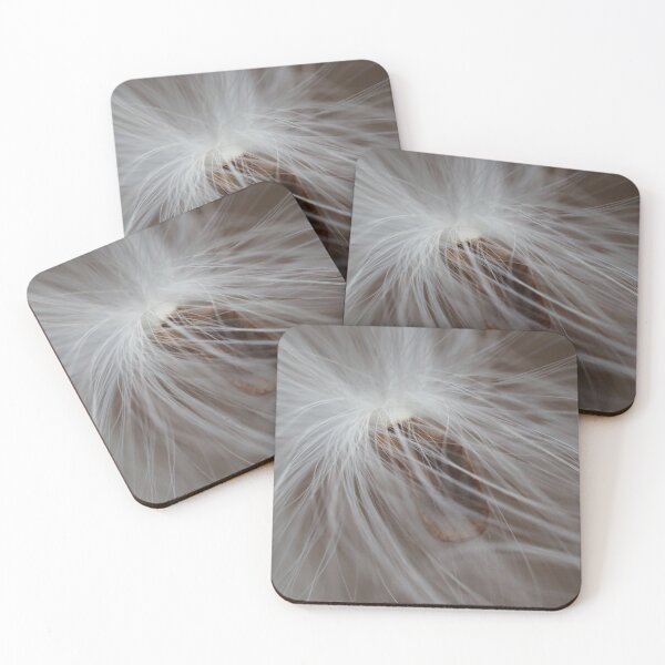Item preview, Milkweed Seed 1 designed and sold by litwphoto.