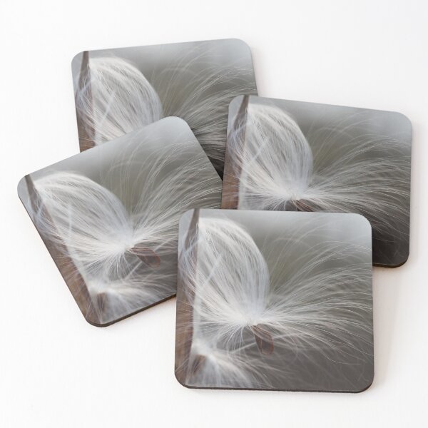 Item preview, Milkweed Seed 2 designed and sold by litwphoto.