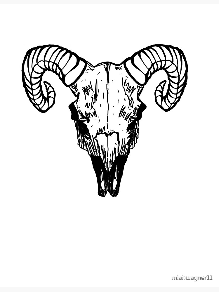 Rams Skull [Black] Essential T-Shirt for Sale by BigLeeBrink