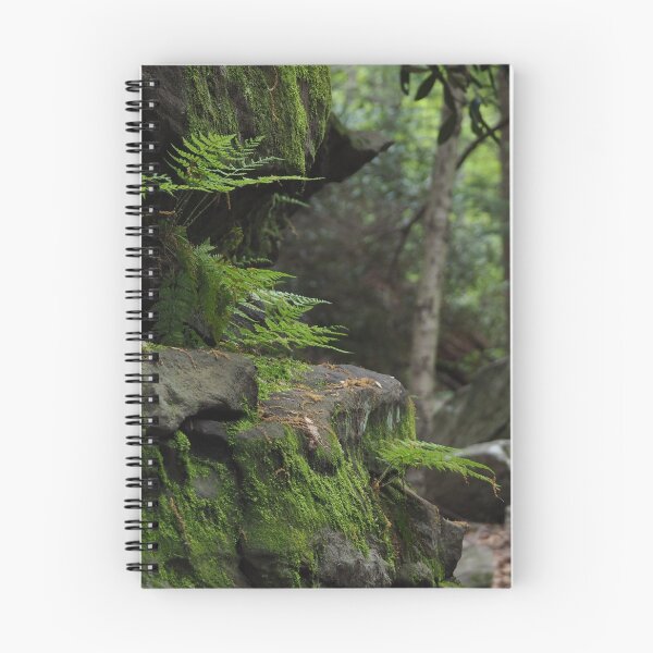 Item preview, Deep in the Woods designed and sold by litwphoto.