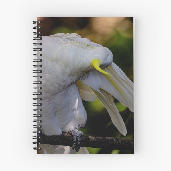 Item preview, Preening designed and sold by Marylou Badeaux.
