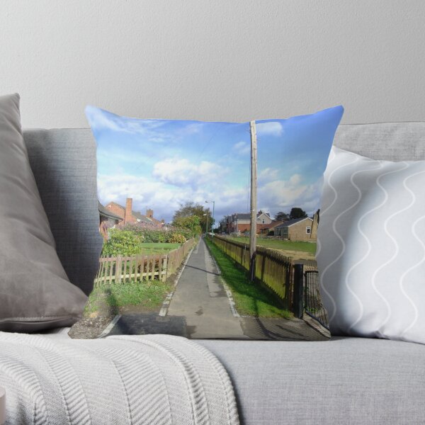 Perspective Path Throw Pillow