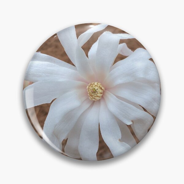 Item preview, ENDANGERED FLOWERS: Star Magnolia designed and sold by Max Kindly.