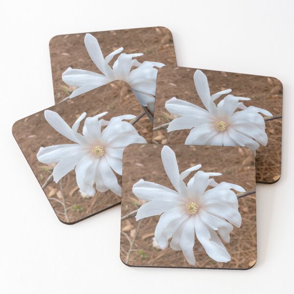 Item preview, ENDANGERED FLOWERS: Star Magnolia designed and sold by Max Kindly.