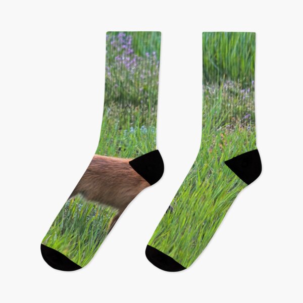 Item preview, Fox Trot designed and sold by alanathrower.