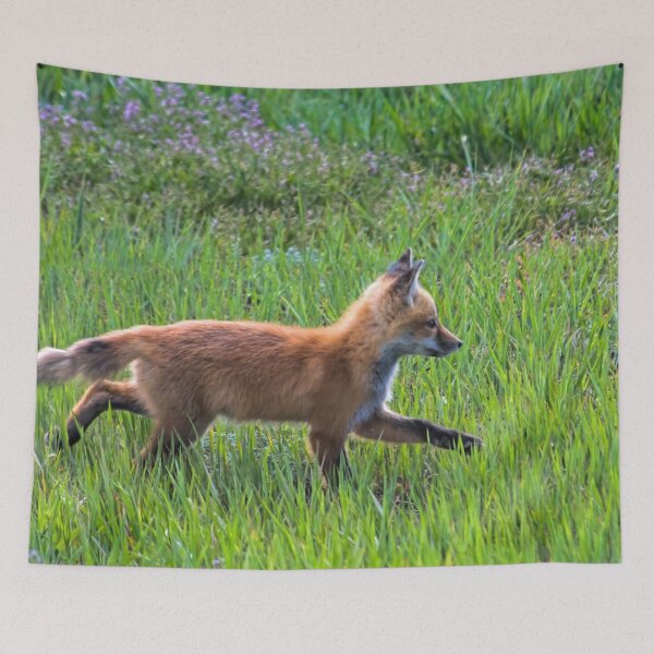 Item preview, Fox Trot designed and sold by alanathrower.