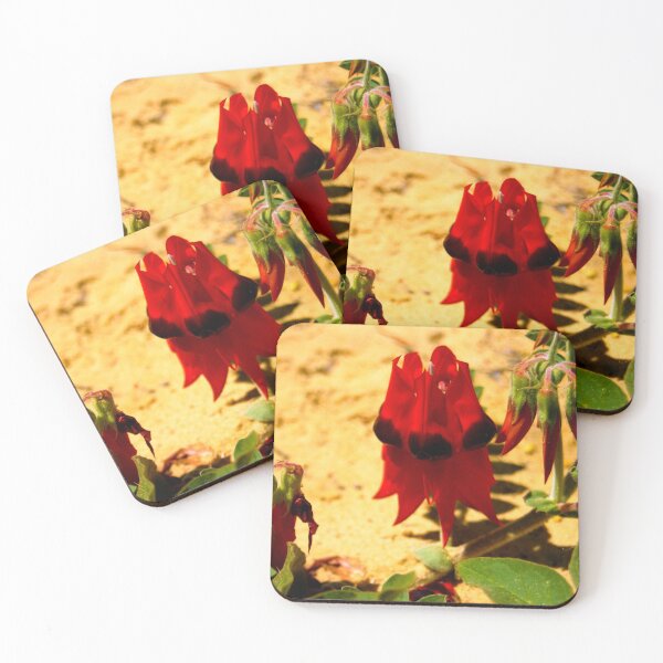 Item preview, Vibrant Sturts Desert Peas - Australian Native Flora Photography designed and sold by Paul Yeatman.