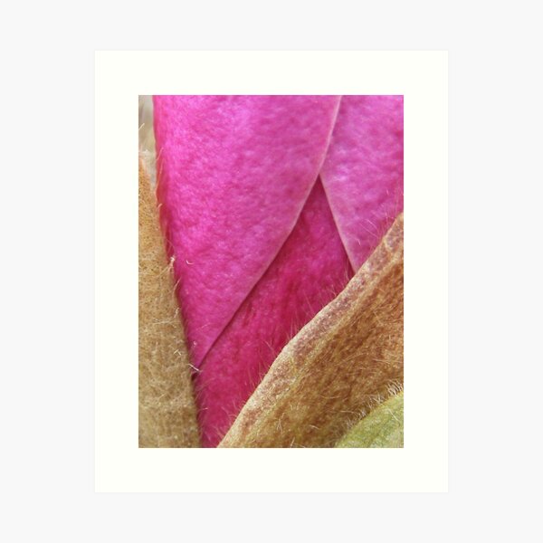 Waiting to bloom Art Print