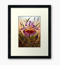 Iris #12 Framed Print