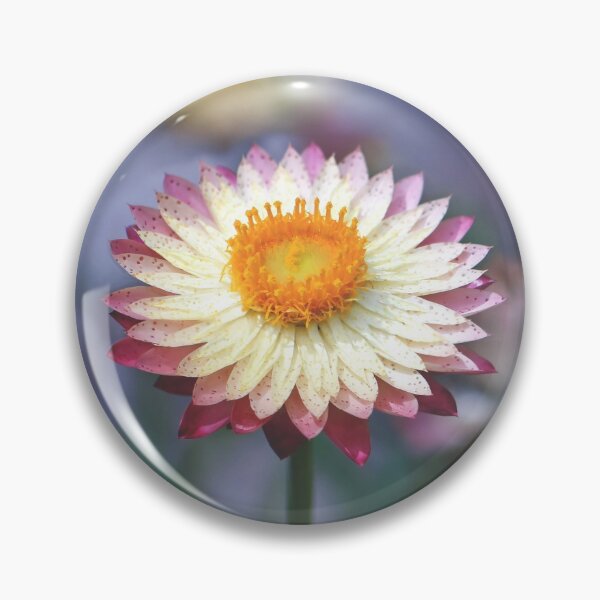 Item preview, Everlastings designed and sold by Cloudlingpics.