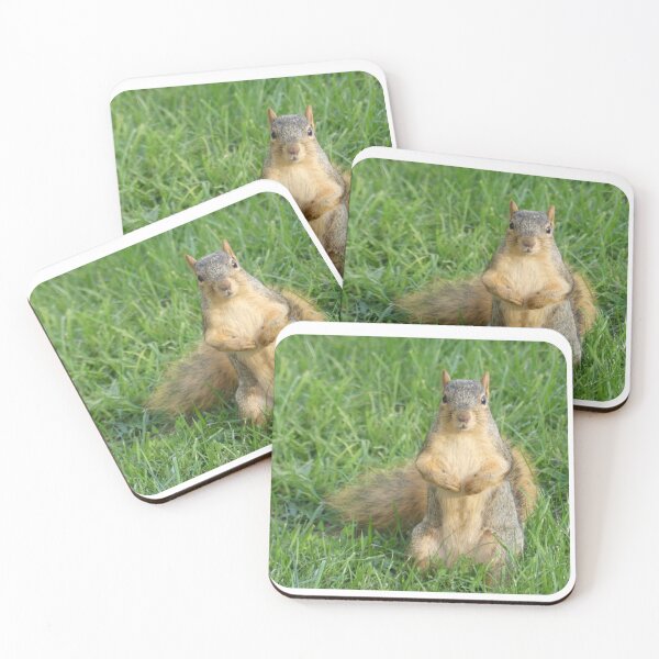 Item preview, Cute Squirrel Design designed and sold by Caslyn Rodriguez.