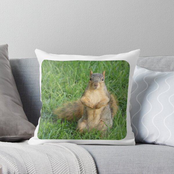 Item preview, Cute Squirrel Design designed and sold by Caslyn Rodriguez.