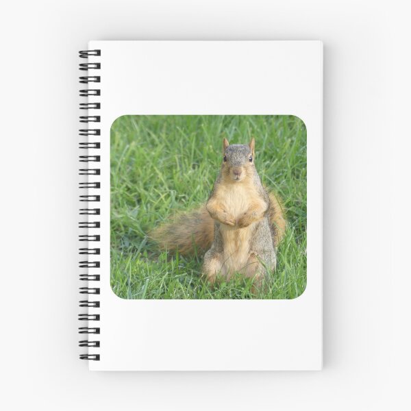 Item preview, Cute Squirrel Design designed and sold by Caslyn Rodriguez.