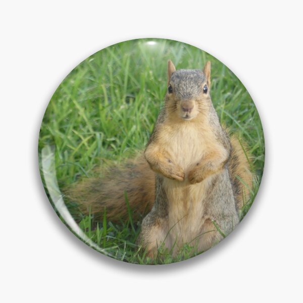 Item preview, Cute Squirrel Design designed and sold by Caslyn Rodriguez.