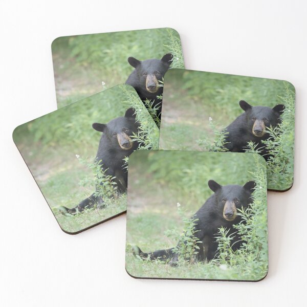 Item preview, Grumpy Bear designed and sold by mlorenz.