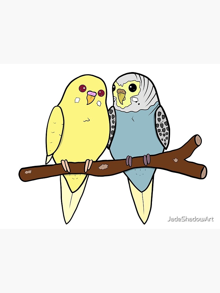 "Budgie Buddies " Photographic Print for Sale by JadeShadowArt Redbubble