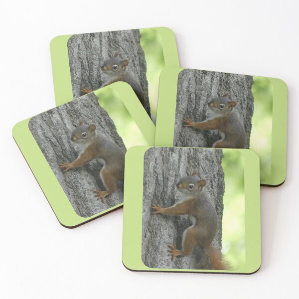 Item preview, Cute Red Squirrel Design designed and sold by Caslyn Rodriguez.