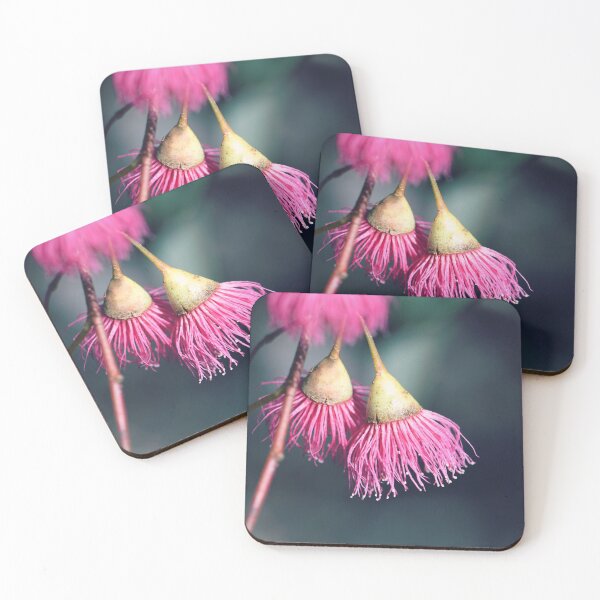 Item preview, Pink Flowering Gum Blossoms designed and sold by Cloudlingpics.