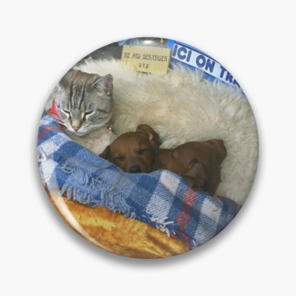 Item preview, cute sleeping pets designed and sold by KnitNknot.