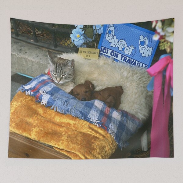 Item preview, cute sleeping pets designed and sold by KnitNknot.