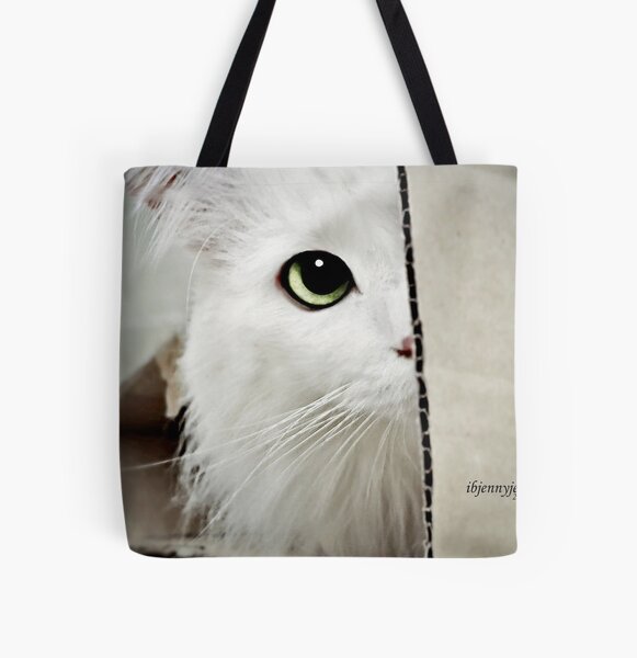 samsonite b lite spinner