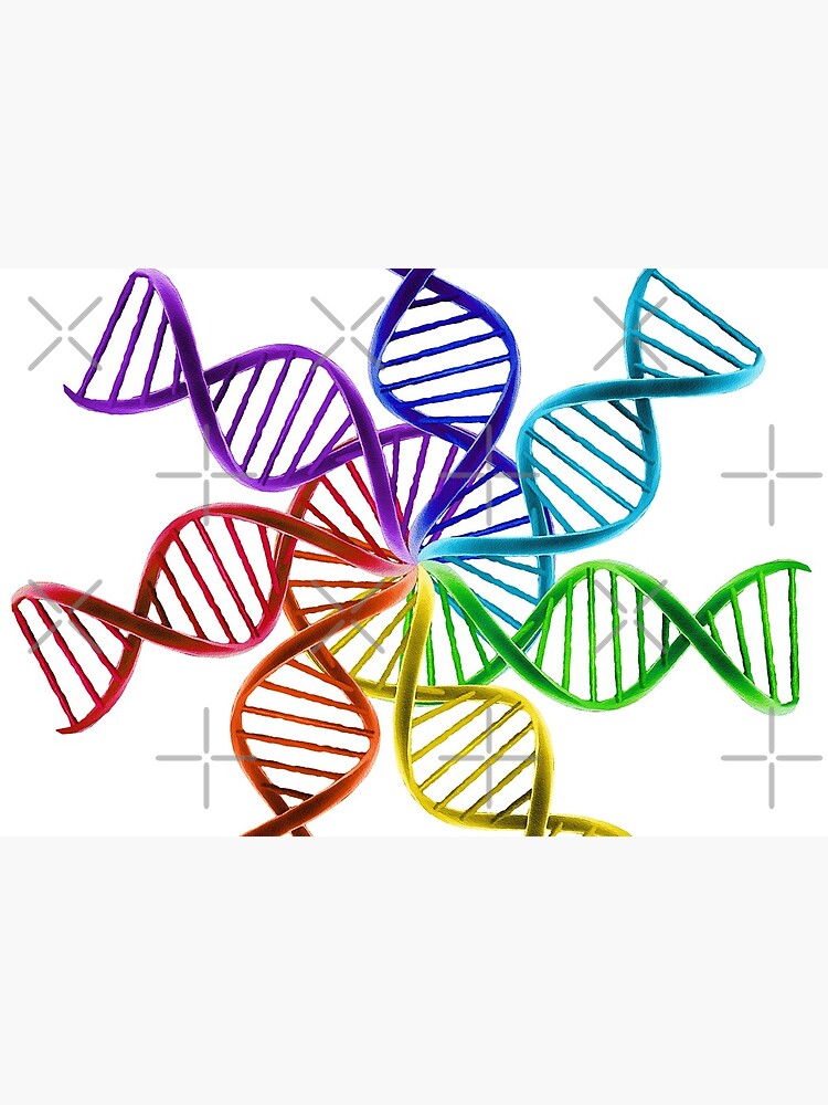 DNA Chakra Circle of Life by haymelter