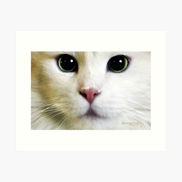 Pure Mischief Art Print