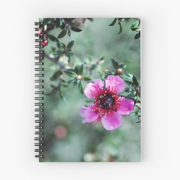 Item preview, Flor del árbol del té designed and sold by Cloudlingpics.