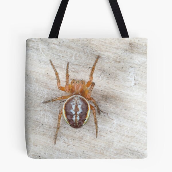 Item preview, Araniella displicata, the sixspotted orbweaver designed and sold by SDym Photography.