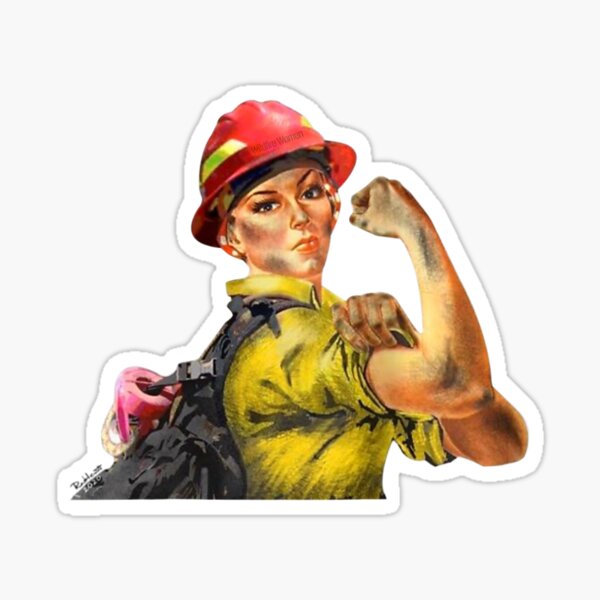 us forest service helmet stickers