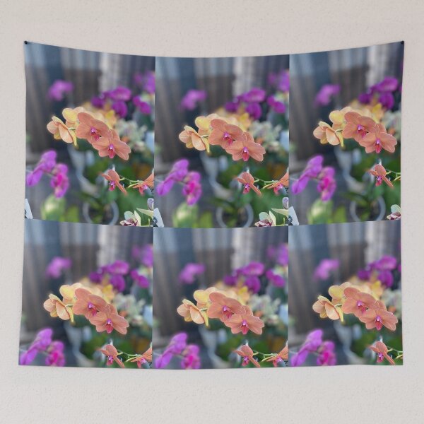 Item preview, WYPF designed and sold by Coconuts20.
