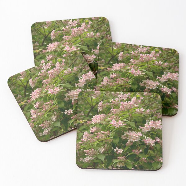 Item preview, spring designed and sold by Babbler01.