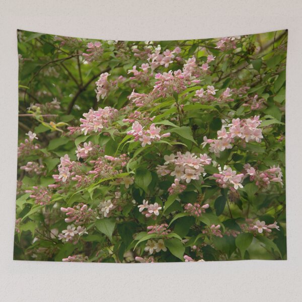 Item preview, spring designed and sold by Babbler01.