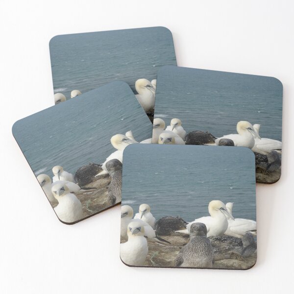 Item preview, Gannets with kids Helgoland designed and sold by gesa118.