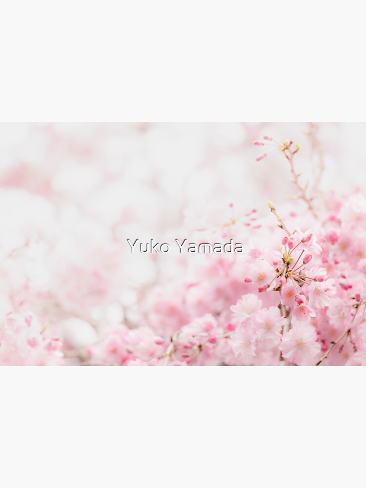 Thumbnail 3 of 3, Sticker, Sakura designed and sold by Yuko Yamada.