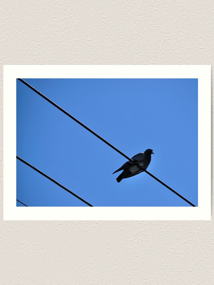 Alternate view of A Nice Spot for Sunbathing Art Print